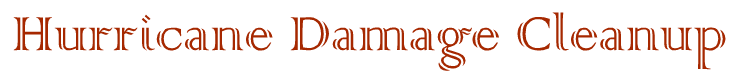 Hurricane Damage Cleanup